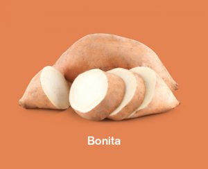 Zoete aardappels ras Bonita