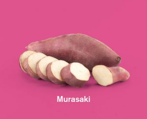Zoete aardappels ras Murasaki