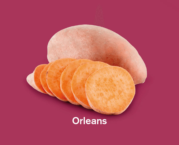 Zoete aardappels ras orleans